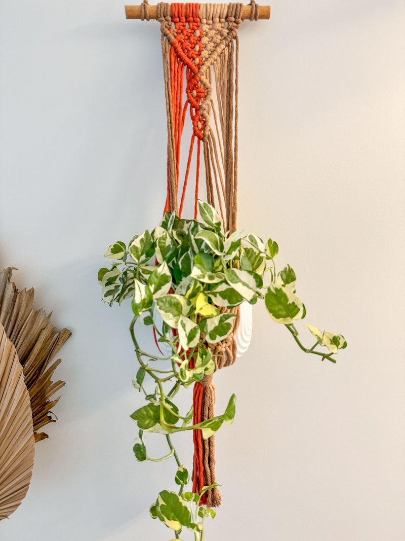 VIBRANT HANDMADE PLANT HANGER