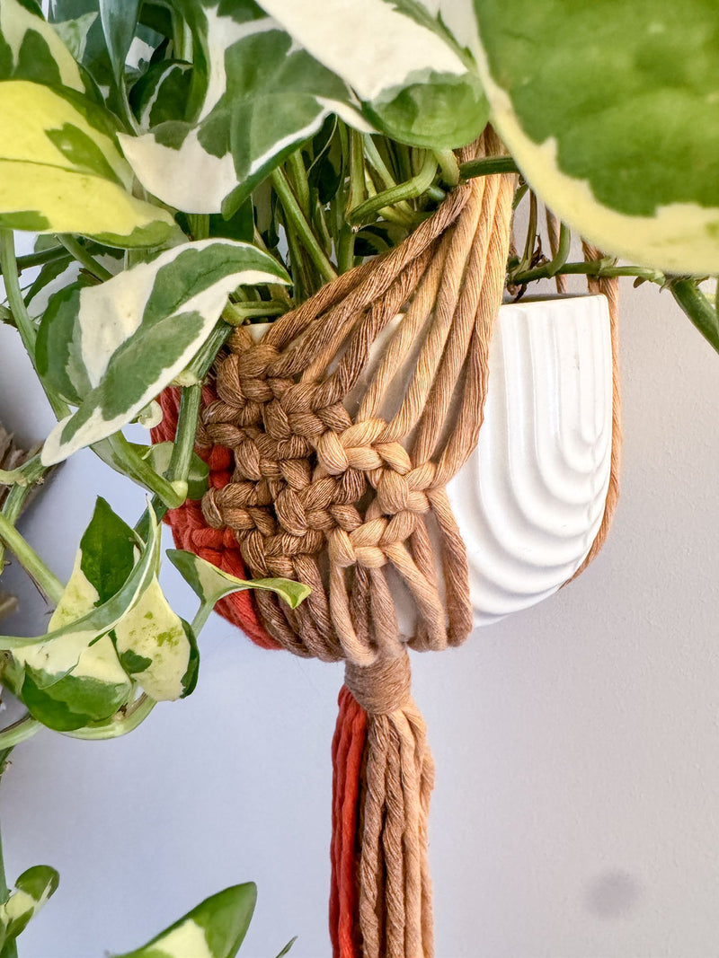 VIBRANT HANDMADE PLANT HANGER