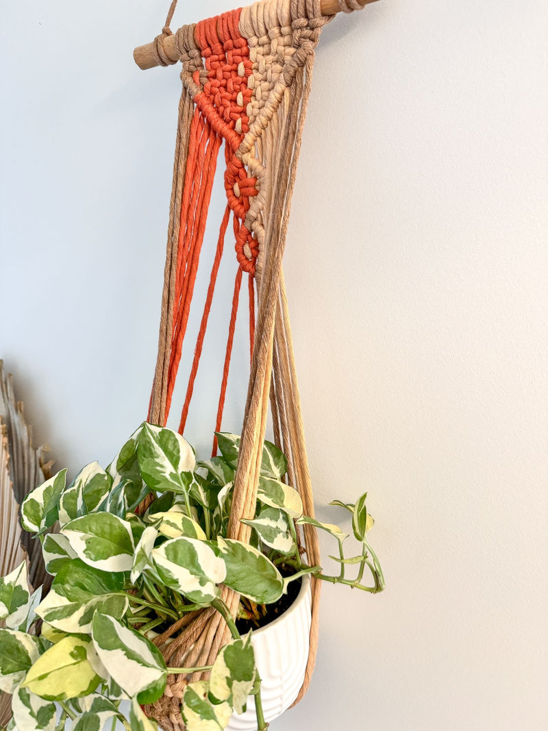 VIBRANT HANDMADE PLANT HANGER