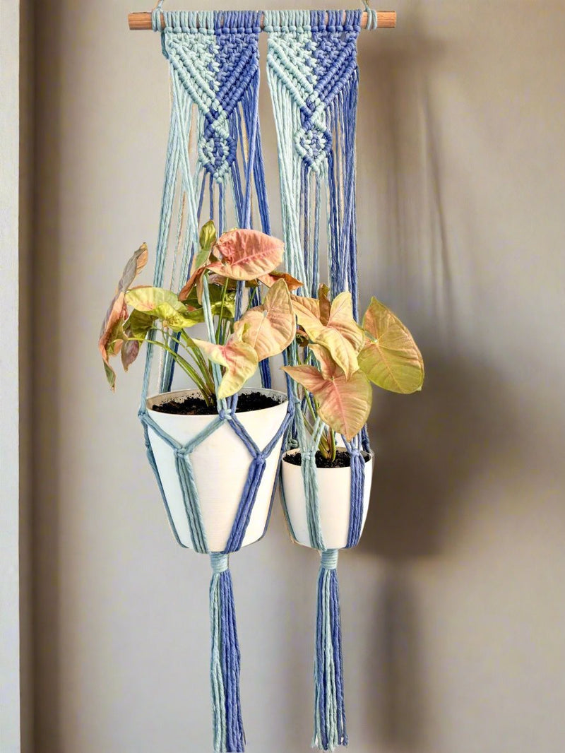 BOHO BLISS DOUBLE PLANT HANGER