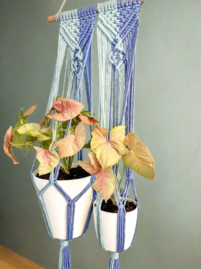 BOHO BLISS DOUBLE PLANT HANGER