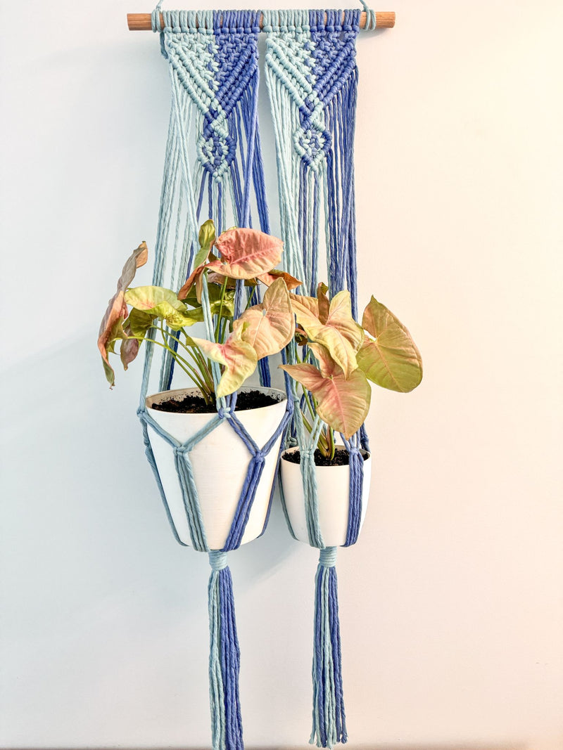 BOHO BLISS DOUBLE PLANT HANGER